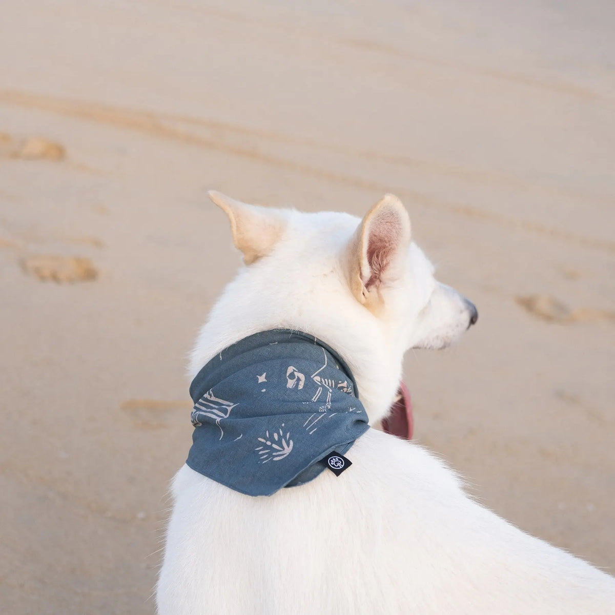 Pañuelo para perros Night Patrol Mezkui