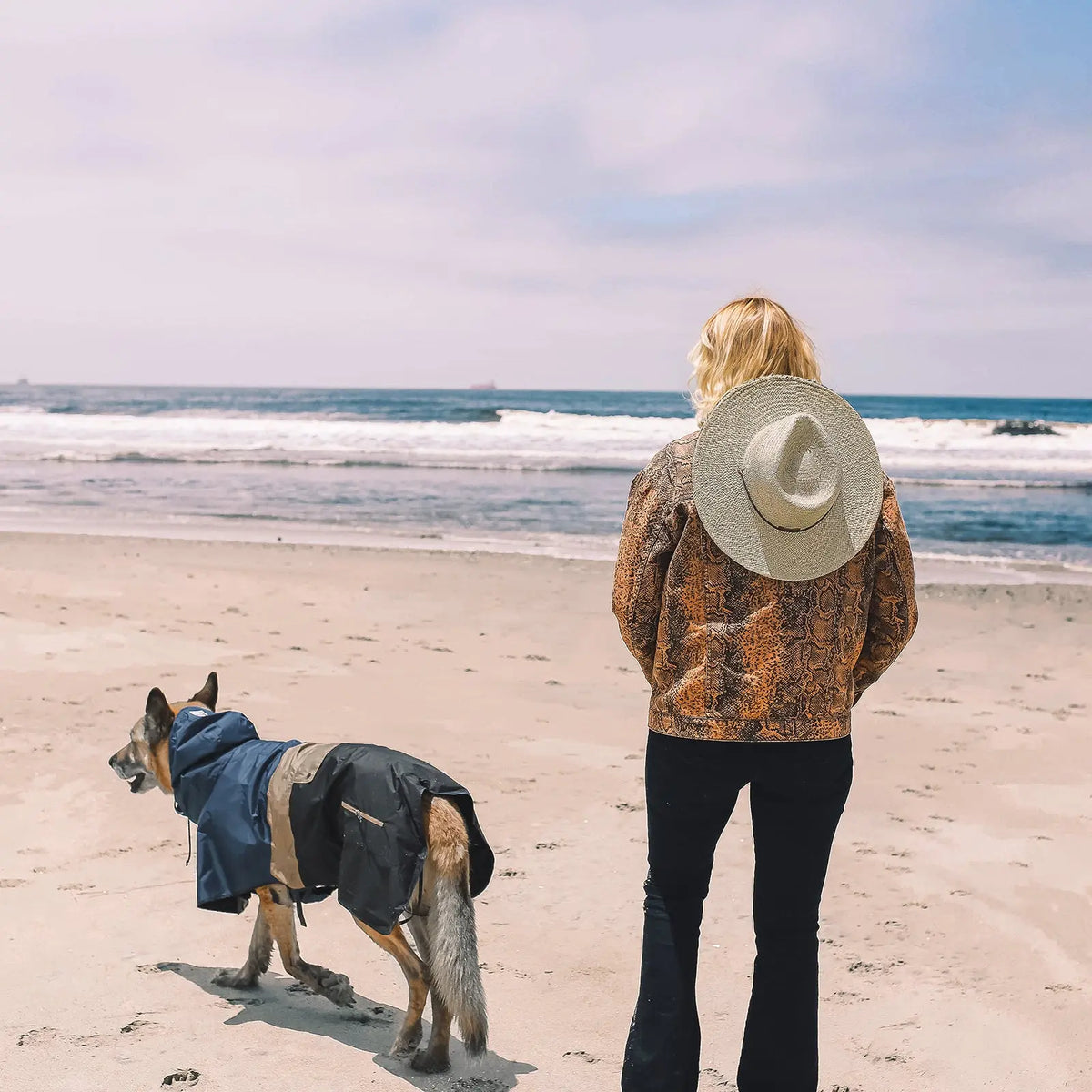 Perro con poncho impermeable Baja Coastline en la playa junto a su dueño, mirando al océano y listo para cualquier aventura costera.