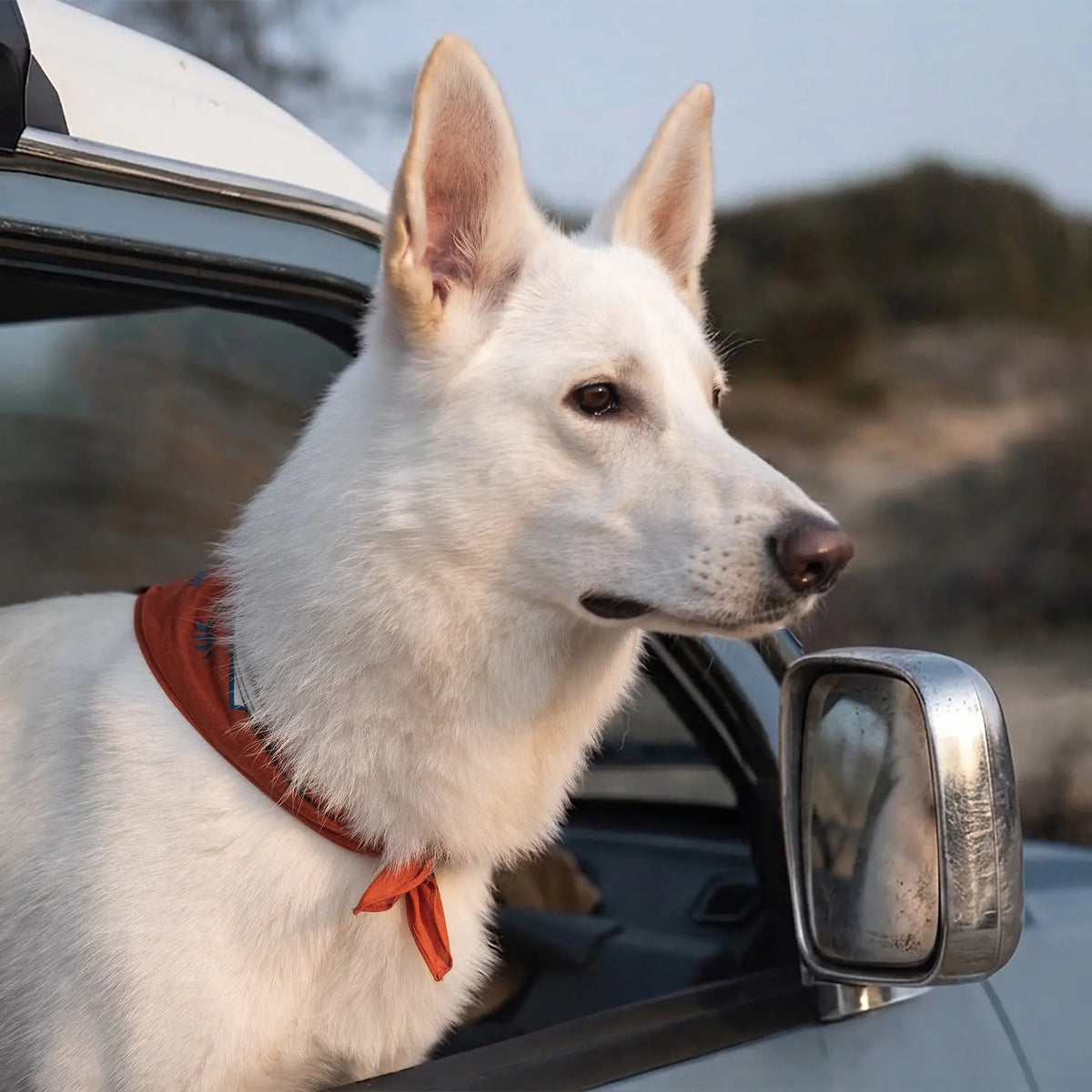 Pañuelo para perros Scenic Poop Mezkui