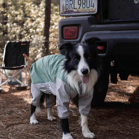 Perro con impermeable Havasu en un camping con autocaravana, mostrando equipamiento impermeable para perros aventureros.