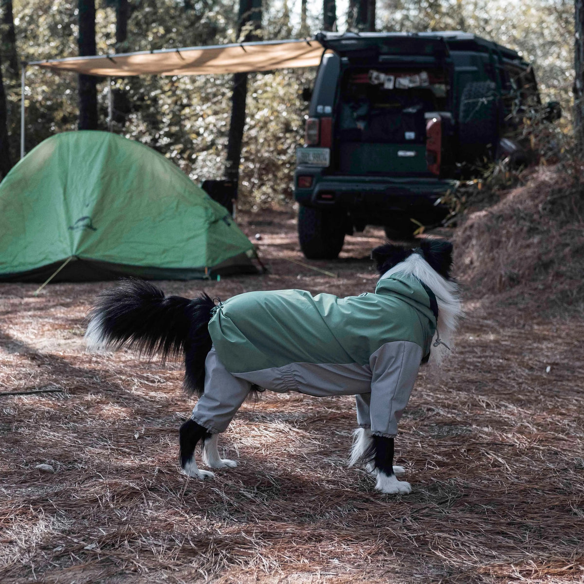 Perro con impermeable Havasu en un camping con una tienda y un todoterreno al fondo, mostrando equipamiento de aventura al aire libre para perros.