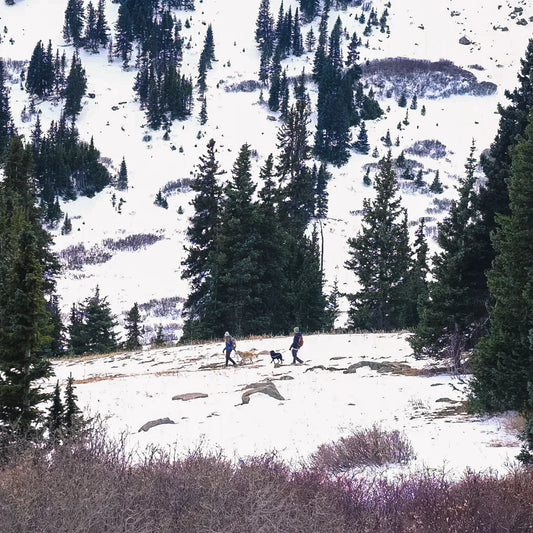 Ruff Road Music: Vol.4 The Known and Unknown Faces