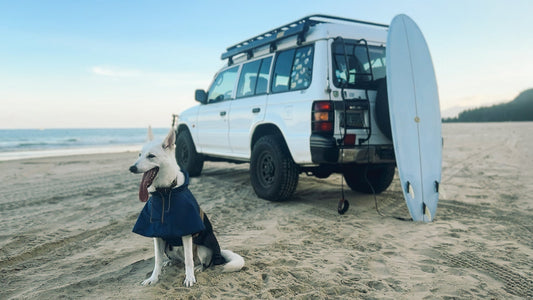 Ruff Road Music: Vol.6 Surf Drift Dreams & Coastal Loops