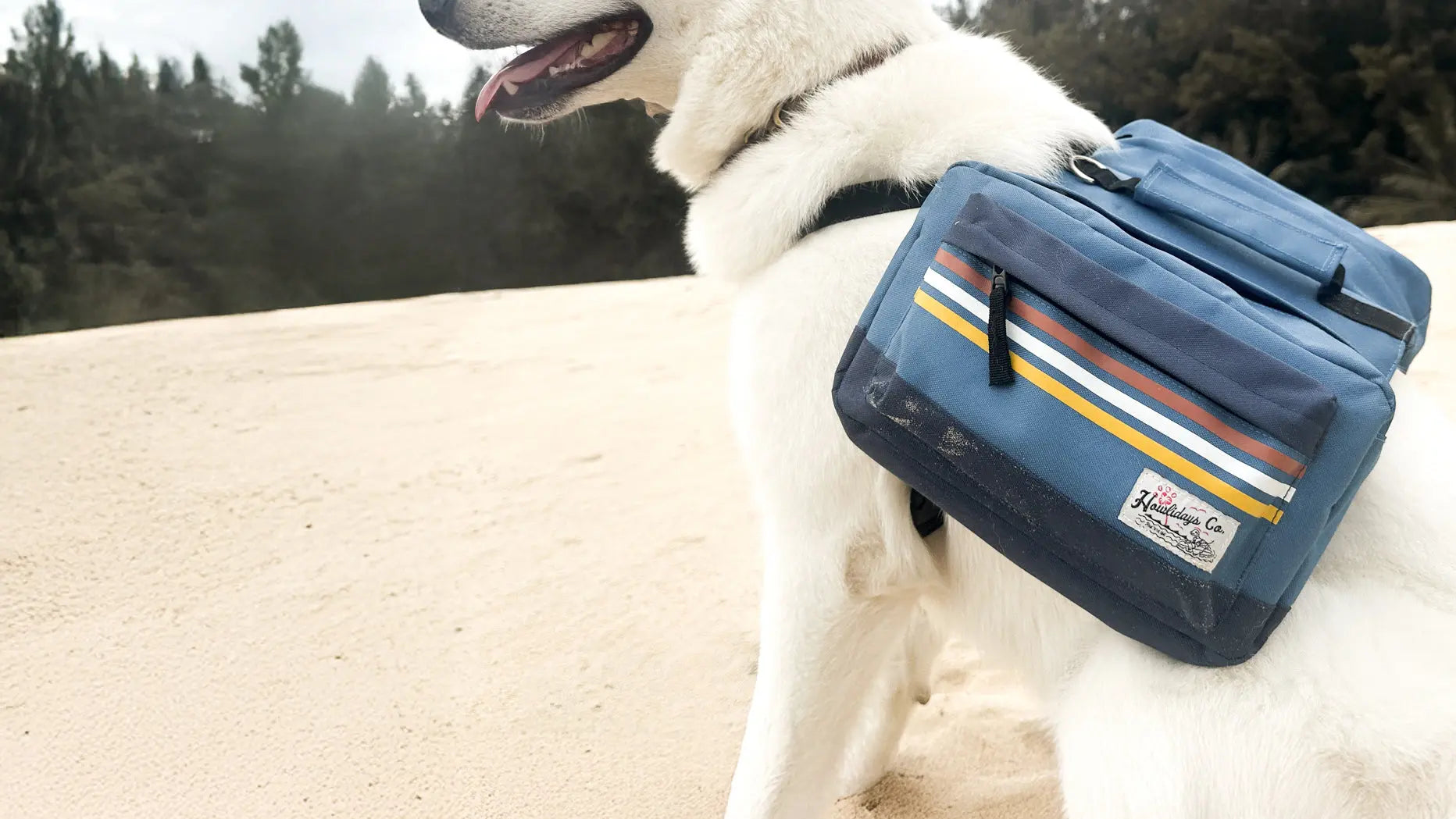 Dog adventure backpack with surf-inspired design worn on the beach, showing a functional dog pack and saddlebags for hiking and outdoor use.