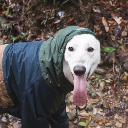Chaqueta impermeable para perros Baja Coastline Mezkui