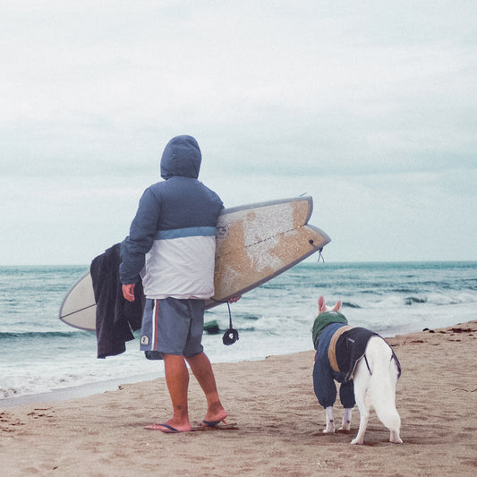 Baja Coastline Dog Rain Jacket Mezkui