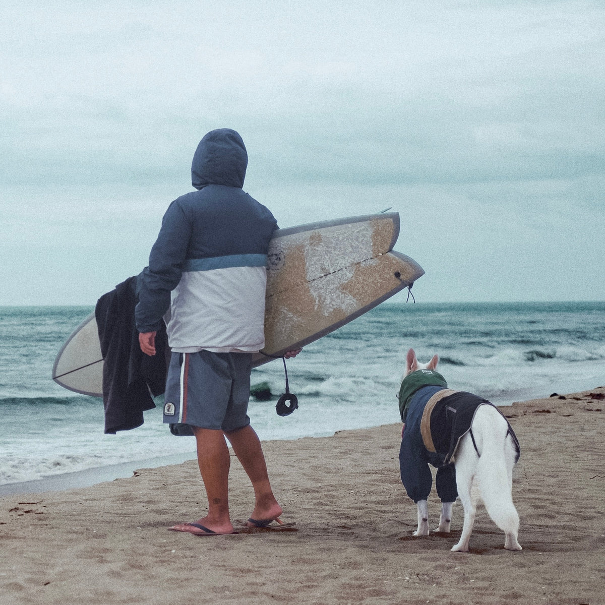 Un surfista y un perro con la chaqueta Baja en la playa