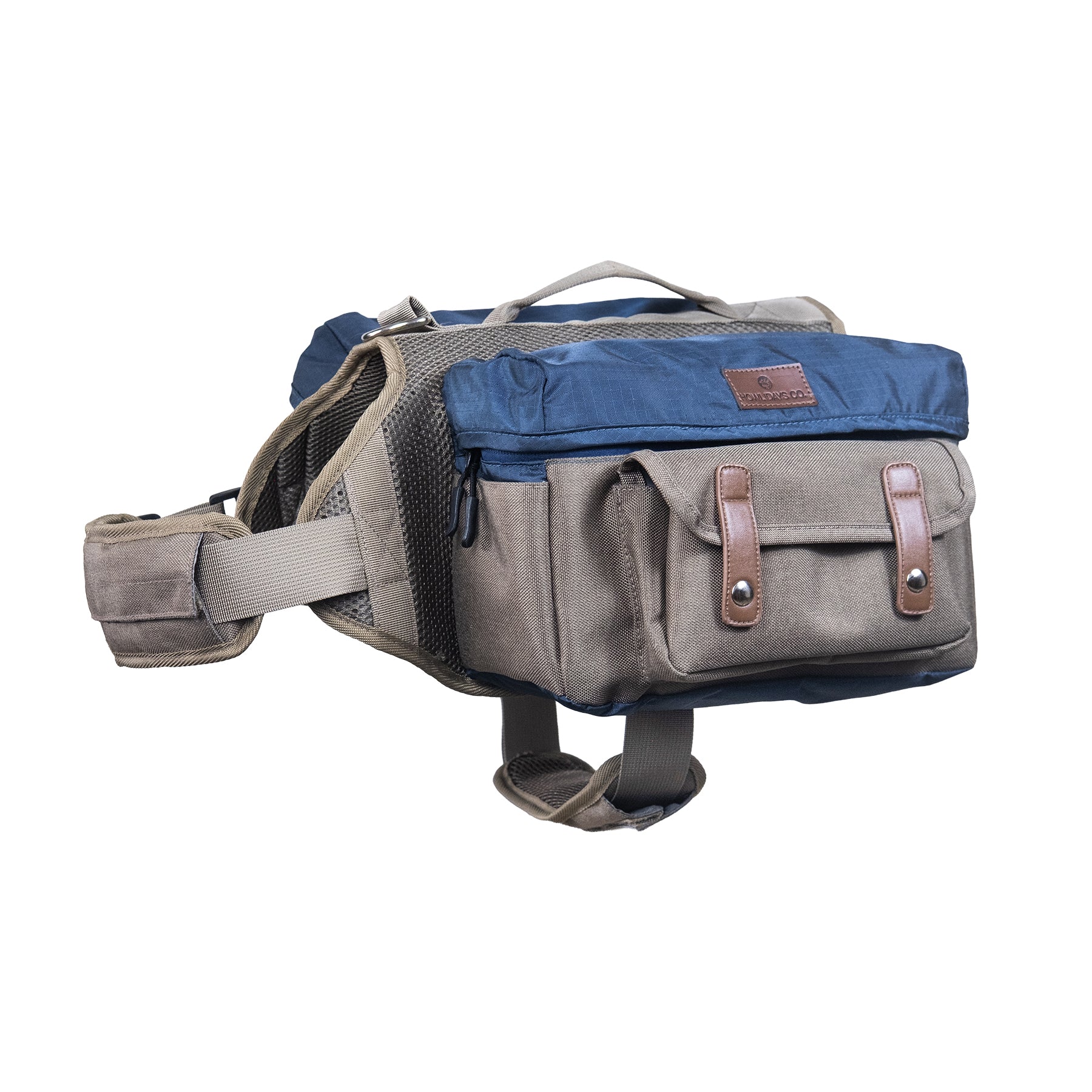 Cactus Creek backpack for dogs, side view displaying comfort and style