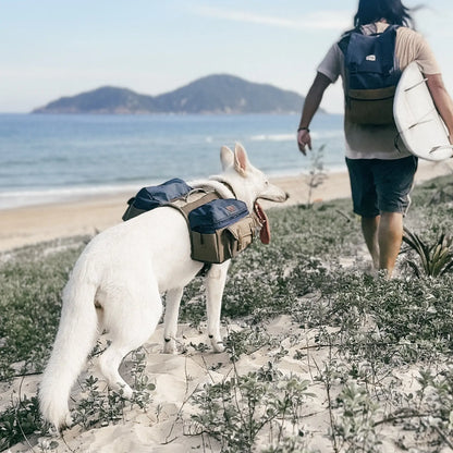 Adventure dog carrying backpack at the beach, surf lifestyle gear
