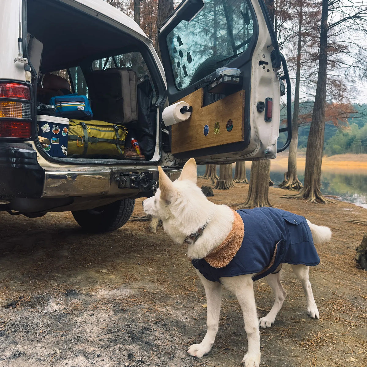 Un perro blanco con la Sedona Dawn Dog Winter Jacket azul marino junto a un vehículo abierto en una zona de acampada.