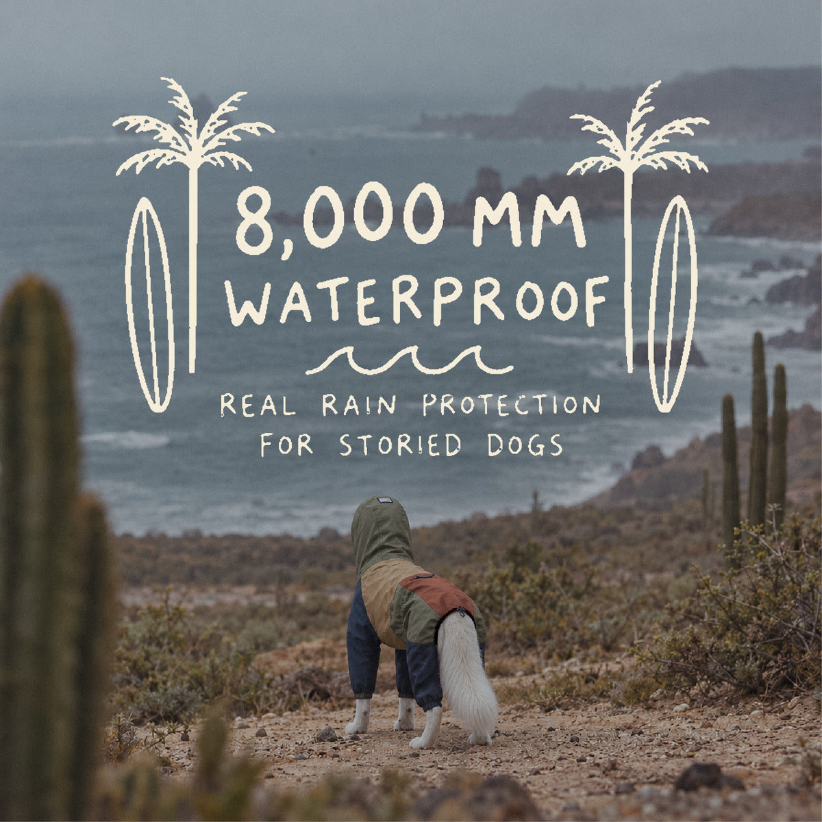 Un perro con el mono impermeable Horizon Over Mesa al aire libre