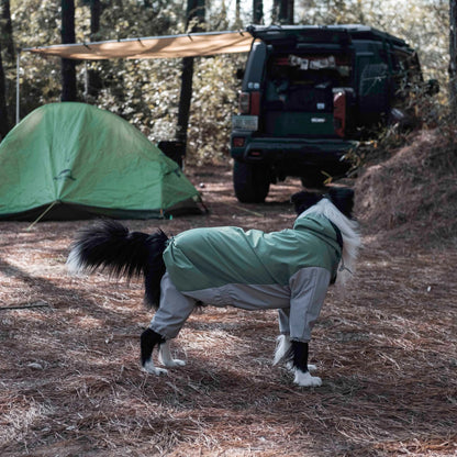 Perro con impermeable Havasu en un camping con una tienda y un todoterreno al fondo, mostrando equipamiento de aventura al aire libre para perros.