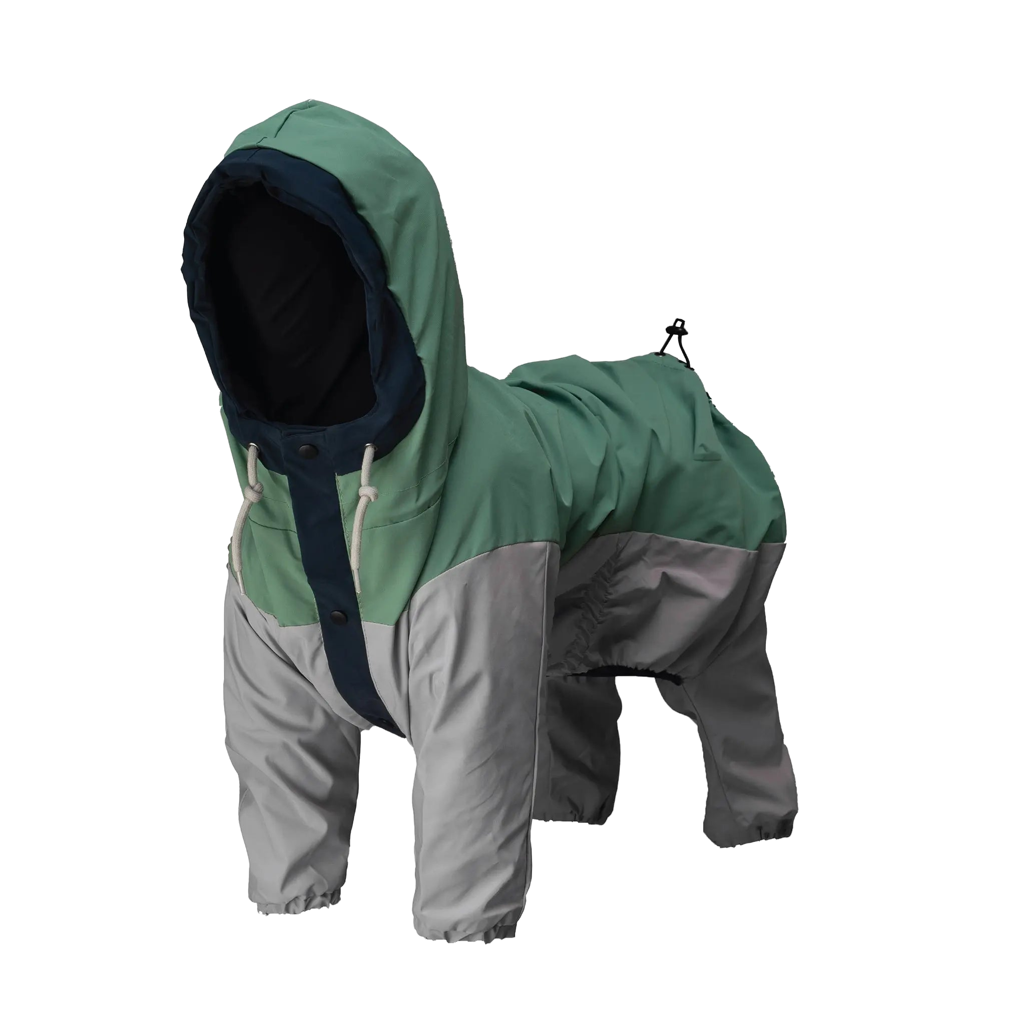 Perro con impermeable Havasu visto a 45 grados, mostrando el corte, la cobertura y los detalles funcionales.